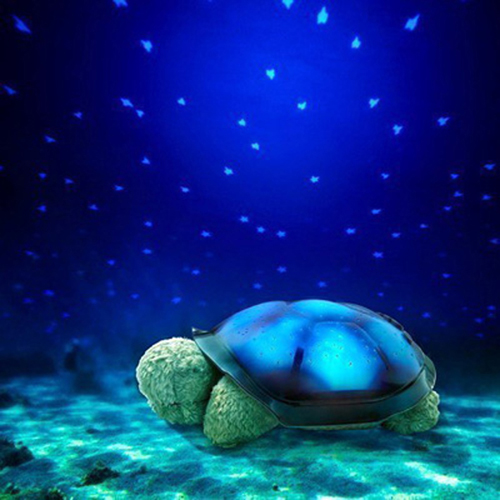 birthday gift Fun originality Children Daughter children boy Son children novel Toys Tortoisein the Festive supplies/Gift , Other Festival Gifts category - from Buy2taobao.com to provide professional Taobao agent buy service