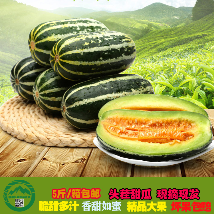 山东特产头茬博洋9羊角蜜甜瓜新鲜现摘5斤包邮小香瓜宝宝孕妇水果|msdalam kategori daging perikanan/Buah-buahan segar dan sayur-sayuran/dimasak, buah-buahan segar, 甜瓜 - dari Buy2taobao.com untuk memberikan perkhidmatan ejen Taobao profesional membeli