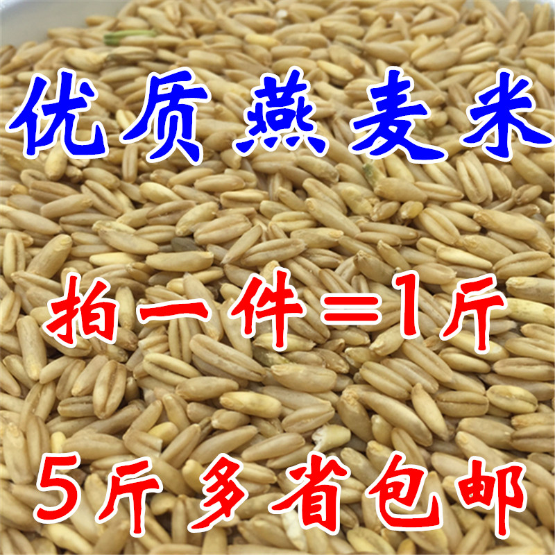 燕麦米/鸟食/鸟粮/雀麦/野麦/燕麦仁/虎皮鹦鹉/牡丹玄风五斤包邮|ruв категории животное/Животное питание и принадлежностей, птиц и принадлежностей, птица - от Buy2taobao.com для оказания профессиональной услуги покупки агента Taobao