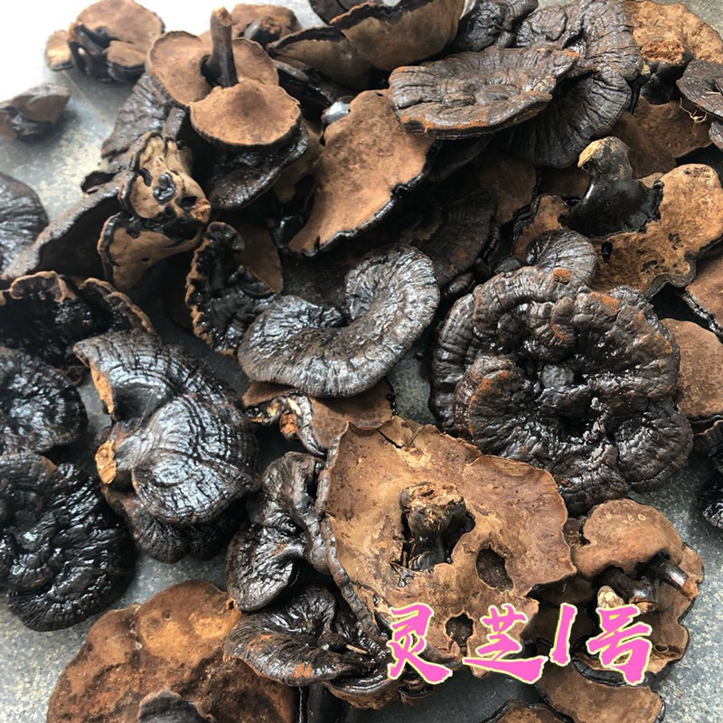 野生灵芝整枝灵芝不苦黑灵芝可切片煲汤煮水煲汤药材250克包邮在类目 传统滋补营养品, 其他传统滋补品, 传统滋补品其他中 - 来自Buy2taobao.com提供专业的淘宝代购服务