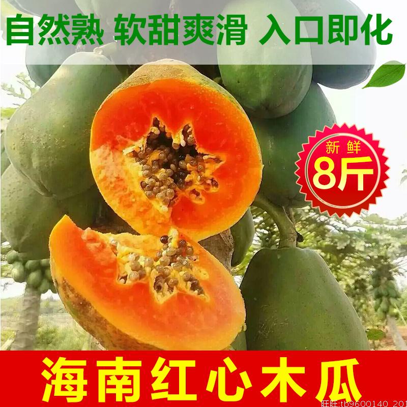 现发海南红心木瓜新鲜水果特产8斤三亚夏威夷牛奶青木瓜自然成熟在类目 水产肉类/新鲜蔬果/熟食, 新鲜水果, 木瓜中 - 来自Buy2taobao.com提供专业的淘宝代购服务