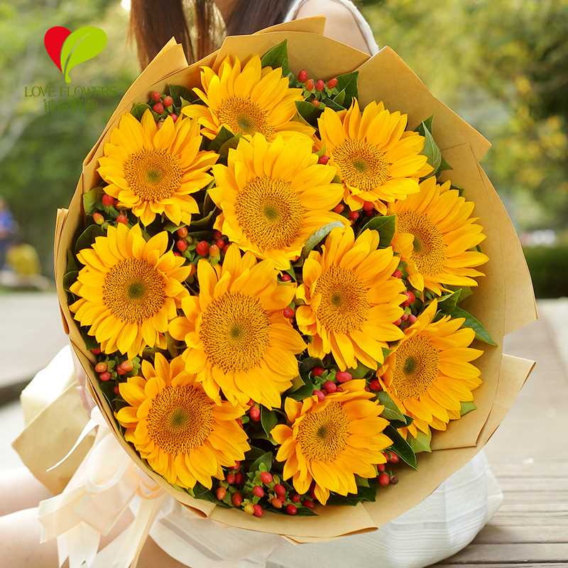 11朵向日葵花束北京鲜花速递全国杭州上海苏州武汉广州同城送花在类目 鲜花速递/花卉仿真/绿植园艺, 鲜花速递(同城)中 - 来自Buy2taobao.com提供专业的淘宝代购服务