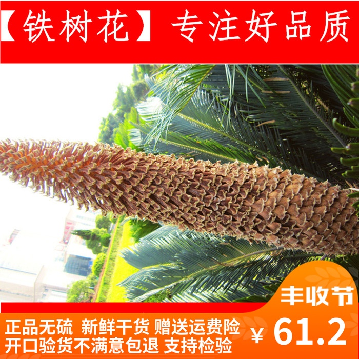 Tieshuhua Dried flowers natural Cycads Iron leaves new goods Nobita 500g Chinese herbal medicines Cycads Male flowerin the Traditional nourishing food , Other traditional tonic , Other traditional tonic category - from Buy2taobao.com to provide professional Taobao agent buy service