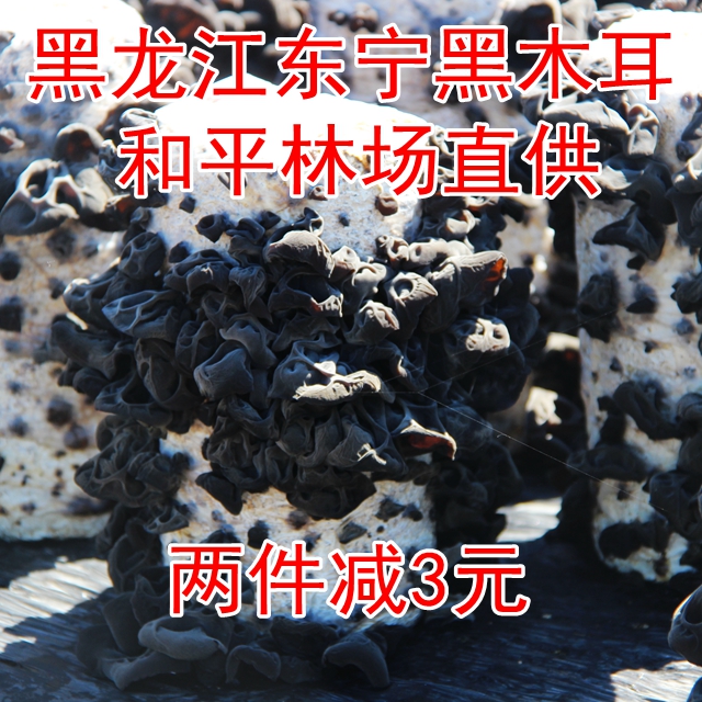 东宁黑木耳干货农家土特产春秋木耳包邮250g在类目 粮油米面/南北干货/调味品, 南北干货/肉类干货, 干货/土特产, 黑木耳中 - 来自Buy2taobao.com提供专业的淘宝代购服务