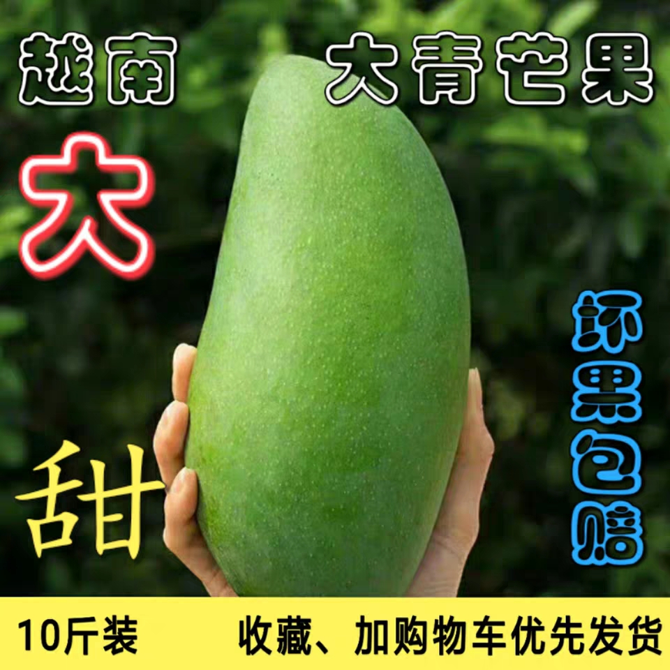 越南大青芒果 新鲜包邮10斤装特大青皮金煌芒非凯特芒应当季水果在类目 水产肉类/新鲜蔬果/熟食, 新鲜水果, 芒果中 - 来自Buy2taobao.com提供专业的淘宝代购服务