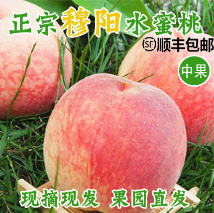 Fuan honey peach Mindong specialty pregnant woman fruit Net weight 9 pounds Farm Orchard Fujianin the Aquatic meat/Fresh fruits and vegetables/Cooked , Fresh fruit , Peach category - from Buy2taobao.com to provide professional Taobao agent buy service