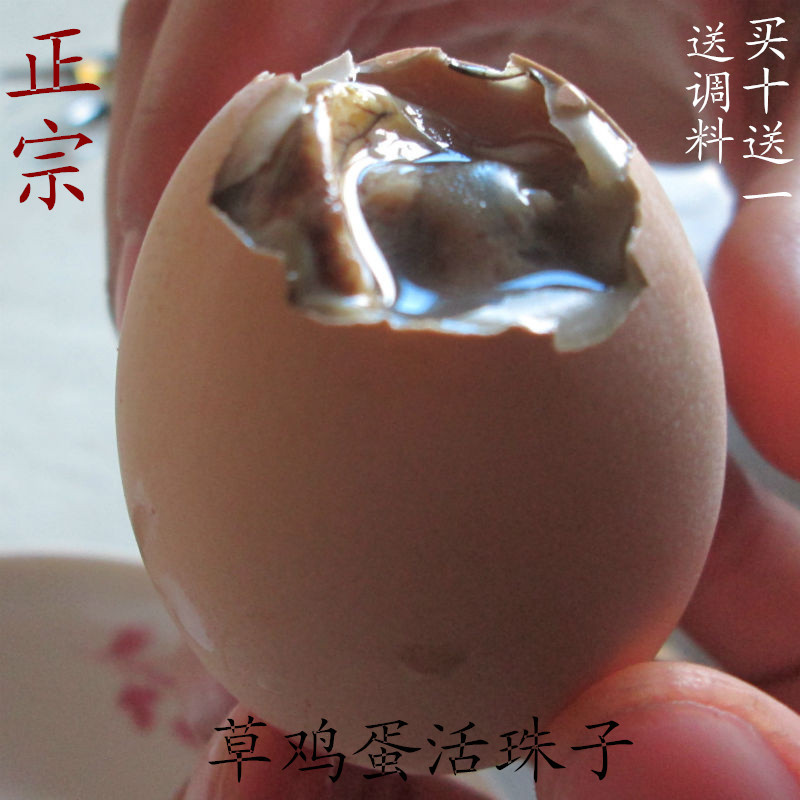 农家13天新鲜活珠子 草鸡蛋活珠子 鸡胚蛋 毛蛋 喜蛋 旺鸡蛋 包邮在类目 水产肉类/新鲜蔬果/熟食, 蛋/蛋制品, 鲜活蛋类, 鸡蛋中 - 来自Buy2taobao.com提供专业的淘宝代购服务