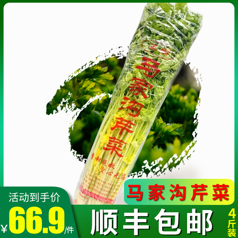 青岛特产平度马家沟芹菜 新鲜蔬菜 优质四斤装 包顺丰航空|msdalam kategori daging perikanan/Buah-buahan segar dan sayur-sayuran/dimasak, sayur-sayuran segar/Vegetable Products, sayur-sayuran segar, lain - dari Buy2taobao.com untuk memberikan perkhidmatan ejen Taobao profesional membeli
