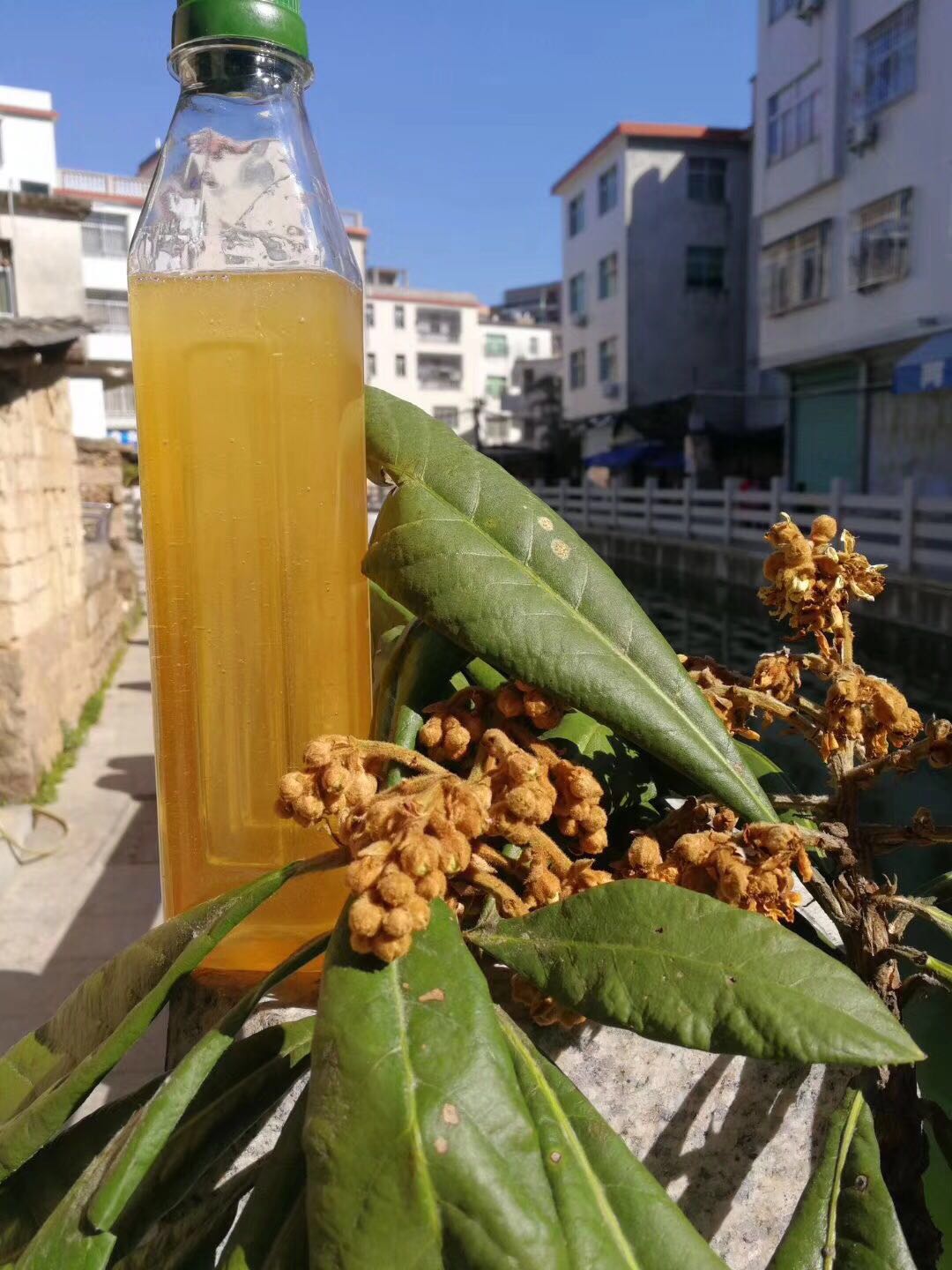 2018 honey natural Honey Farm Production wild Zero added Soil honey Litchi honey 1200g Produced in Fujianin the Traditional nourishing food , Honey category - from Buy2taobao.com to provide professional Taobao agent buy service