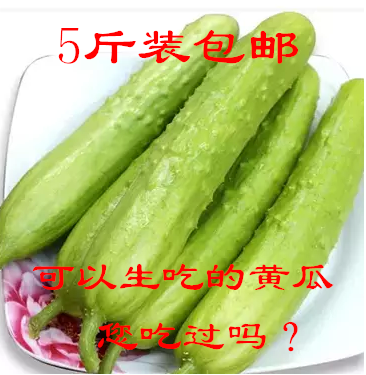 山东烟台海阳农家新鲜蔬菜水果无农药有机白玉黄瓜促销5斤包邮|ruв категории водной мясо/свежие фрукты и овощи/еда, свежие овощи/овощной продукции, свежие овощи, другие - от Buy2taobao.com для оказания профессиональной услуги покупки агента Taobao