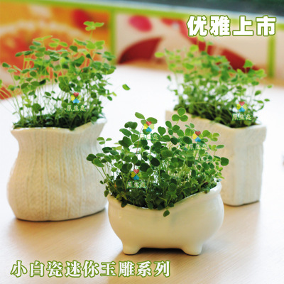 indoor desktop Mini Botany Small potted Micro Landscape Bonsai plants Children DIY children Small Plants giftin the Flower delivery/Flowers simulation/Plants gardening , Creative mini-plant category - from Buy2taobao.com to provide professional Taobao agent buy service