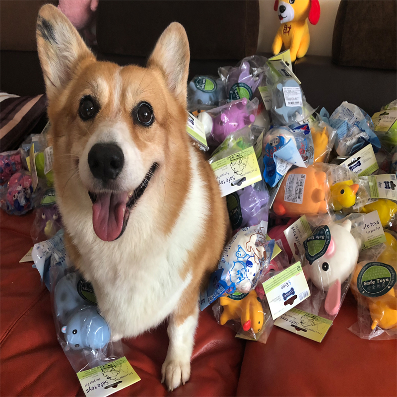 台湾六狗LEODOG狗狗无毒乳胶玩具发声玩具磨牙耐咬全犬种|msdalam kategori haiwan peliharaan/makanan haiwan dan bekalan, Cat/Mainan anjing, mainan bunyi - dari Buy2taobao.com untuk memberikan perkhidmatan ejen Taobao profesional membeli