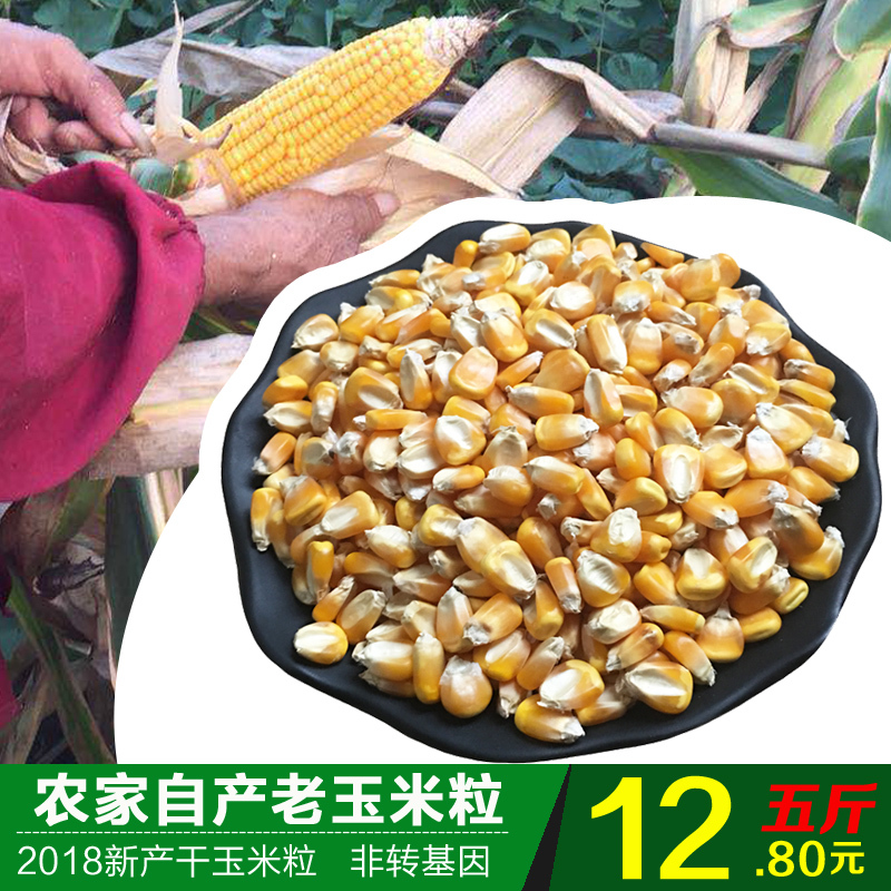 Farm Old corn Go fishing Ducks Coarse Cereals Corn 5 bulk Sweet cornin the Agri rice/Dried foods/Condiment , Meter/Flour/Grains , Corn category - from Buy2taobao.com to provide professional Taobao agent buy service