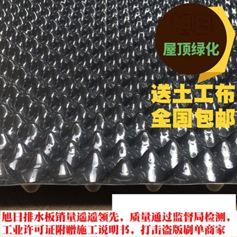 高3cm公分蓄排屋顶花园种菜楼顶绿化蓄排水板隔热隔水蓄水阻根在类目 鲜花速递/花卉仿真/绿植园艺, 园艺用品, 其它园艺用品中 - 来自Buy2taobao.com提供专业的淘宝代购服务