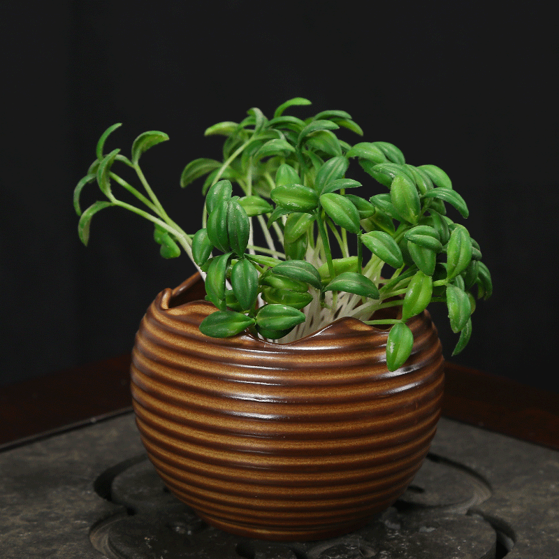 奇异手工创意陶罐多肉花盆水植花器红陶简约现代陶瓷花瓶桌面摆件|msdalam kategori Aksesori rumah, pasu/bunga/bunga tiruan/perhiasan imitasi, bunga/pasu, pasu - dari Buy2taobao.com untuk memberikan perkhidmatan ejen Taobao profesional membeli