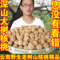 上下架计划:正宗云南核桃 薄皮核桃 野生新货 孕妇坚果 纸皮核桃原味 山核桃