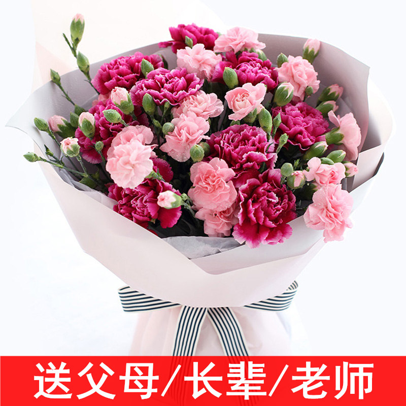 康乃馨花束鲜花礼物上海同城速递送老师送妈妈花店配送在类目 鲜花速递/花卉仿真/绿植园艺, 鲜花速递(同城)中 - 来自Buy2taobao.com提供专业的淘宝代购服务