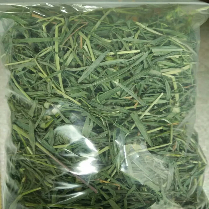 宠物提摩西草兔子干草荷兰猪牧草兔粮提草龙猫磨牙草粮10份起包邮在类目 宠物/宠物食品及用品, 兔类及其用品, 兔兔干草中 - 来自Buy2taobao.com提供专业的淘宝代购服务