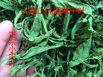 大南山忧遁草黎王草茶优盾优顿草干叶鳄嘴花茶小尖叶