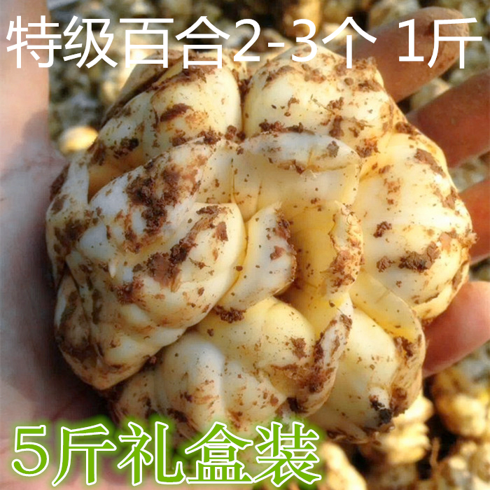2018現挖新鮮宜興百合土特産食用功效型 3個左右/斤5斤禮盒裝包郵在類目 傳統滋補營養品, 藥食同源食品, 百合中 - 來自Buy2taobao.com提供專業的淘寶代購服務