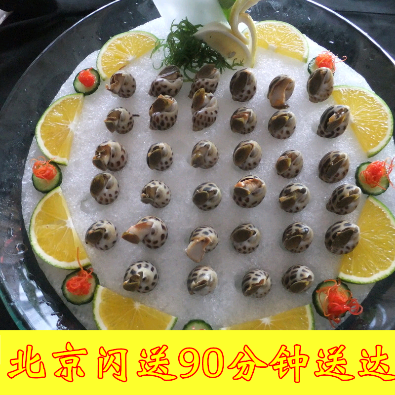 北京闪送生猛海鲜鲜活纯野生生猛花螺东风螺大个丰满海鲜美味在类目 水产肉类/新鲜蔬果/熟食, 海鲜/水产品/制品, 贝类, 贝类制品中 - 来自Buy2taobao.com提供专业的淘宝代购服务