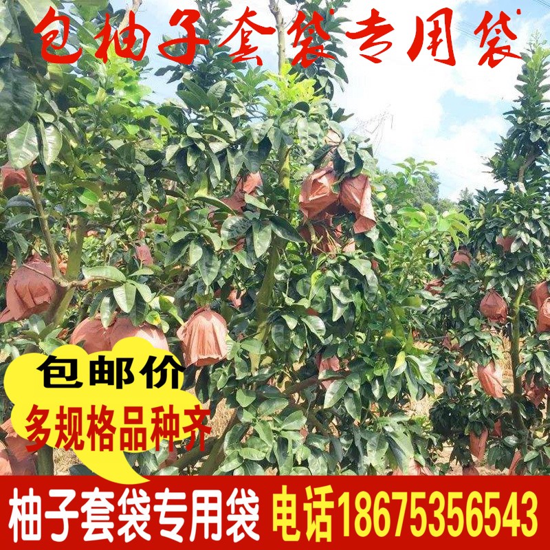 包柚子套袋专用袋防虫鸟水葡萄早熟袋红肉三红蜜柚子单层双层三层在类目 鲜花速递/花卉仿真/绿植园艺, 园艺用品, 其它园艺用品中 - 来自Buy2taobao.com提供专业的淘宝代购服务