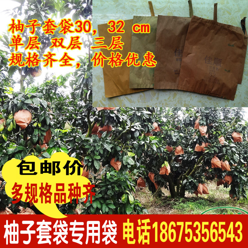 柚子專用套袋紅肉密柚子三紅柚水果紙袋防蟲袋早熟袋蘋果葡萄包郵在類目 鮮花速遞/花卉仿真/綠植園藝, 園藝用品, 其它園藝用品中 - 來自Buy2taobao.com提供專業的淘寶代購服務