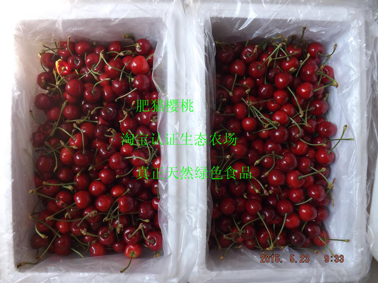 現貨10年老店紅燈大果淨5斤正宗煙台肥貓大櫻桃壞果包賠在類目 水產肉類/新鮮蔬果/熟食, 新鮮水果, 車釐子/櫻桃中 - 來自Buy2taobao.com提供專業的淘寶代購服務