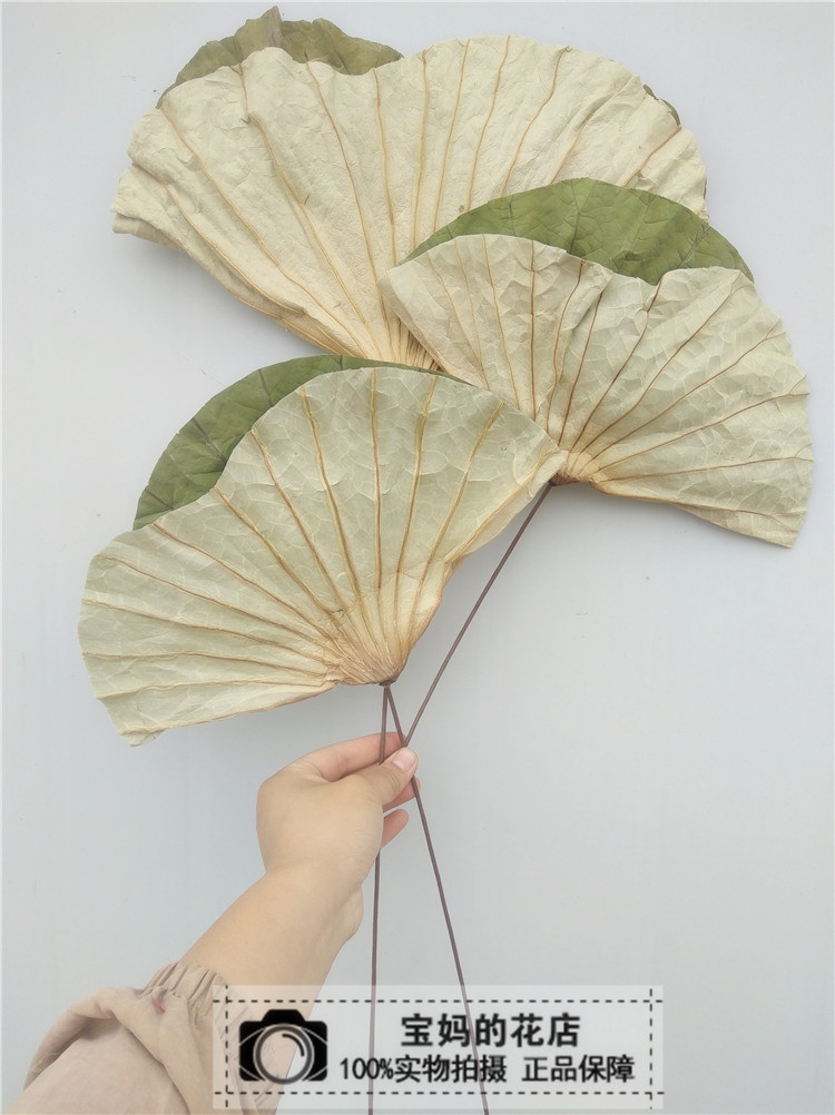 荷叶家居装饰 荷叶干花花束艺术花插素材拍摄道具干荷花干莲蓬|ruв категории Домашний быт, ваза/цветок/искусственные цветы/моделирование украшения, сушеные цветы/лепесток/сушеные цветы пакет/сухие ветки - от Buy2taobao.com для оказания профессиональной услуги покупки агента Taobao