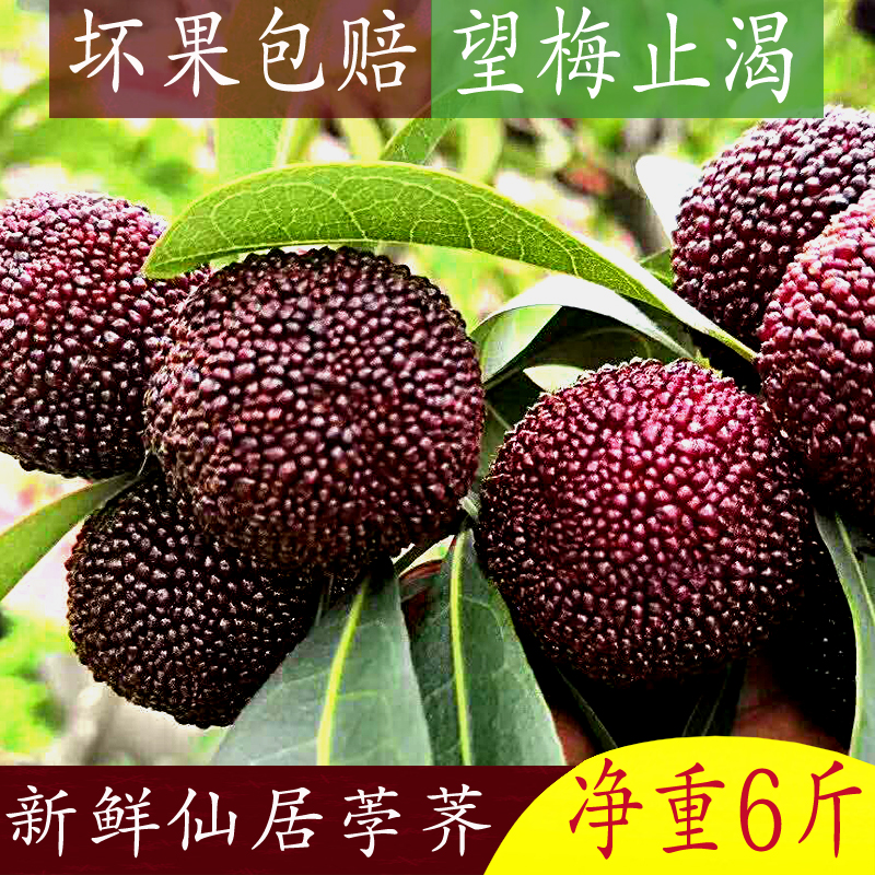 仙居杨梅新鲜水果包邮6斤整箱东魁杨梅孕妇时令现货现发当季特价|msdalam kategori daging perikanan/Buah-buahan segar dan sayur-sayuran/dimasak, buah-buahan segar, lain - dari Buy2taobao.com untuk memberikan perkhidmatan ejen Taobao profesional membeli