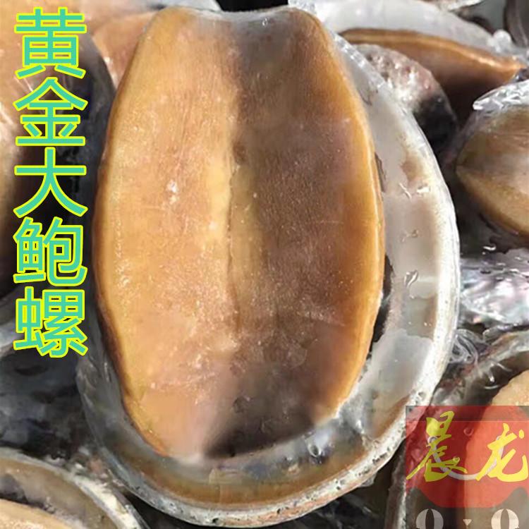 深海黃金澳鮑帶殼不切片黃金大鮑螺8兩以上/只鄉廚酒店食材凍鮑魚在類目 水產肉類/新鮮蔬果/熟食, 海鮮/水產品/製品, 貝類, 鮑魚中 - 來自Buy2taobao.com提供專業的淘寶代購服務