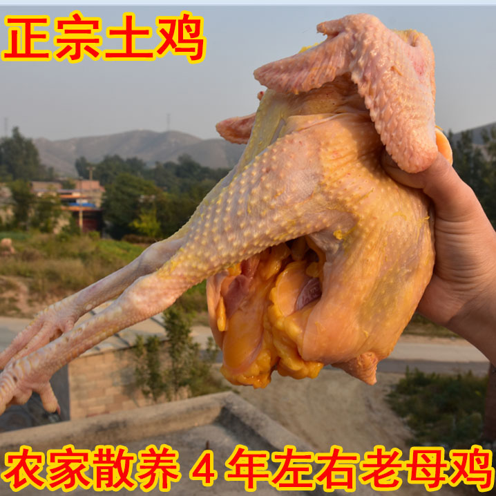 農家散養4年左右老母雞農村土雞柴雞笨草雞走地雞月子雞 順豐包郵在類目 水產肉類/新鮮蔬果/熟食, 生肉/肉製品, 雞肉類, 整雞中 - 來自Buy2taobao.com提供專業的淘寶代購服務