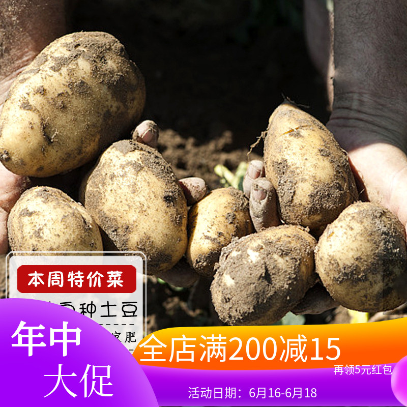新鲜土豆马铃薯农产品农家洋芋新鲜蔬菜黄心土豆600克|ruв категории водной мясо/свежие фрукты и овощи/еда, свежие овощи/овощной продукции, свежие овощи, картофель - от Buy2taobao.com для оказания профессиональной услуги покупки агента Taobao