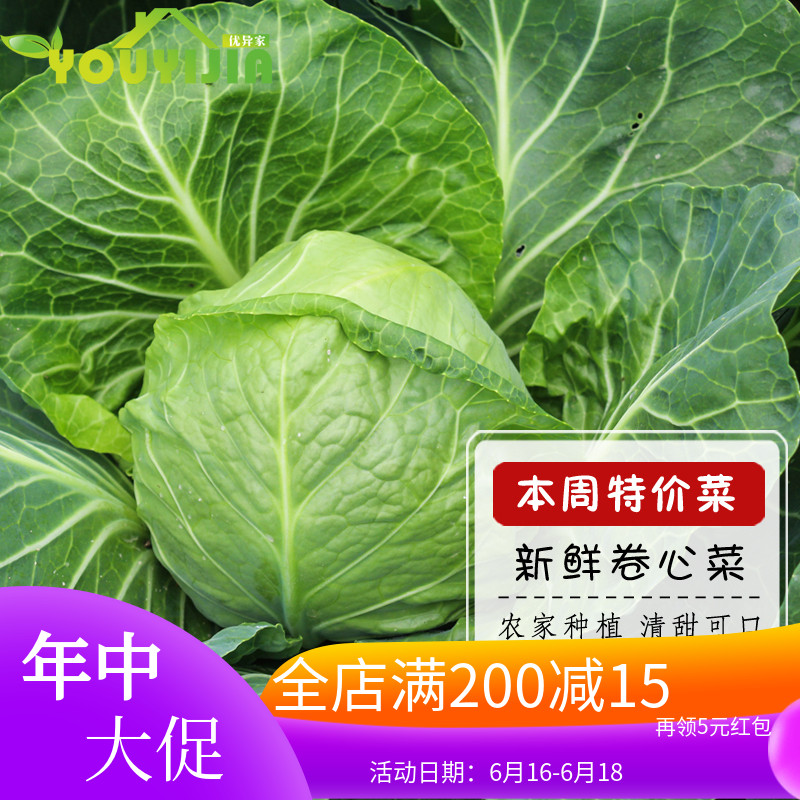 優異家新鮮蔬菜包心菜包菜卷心菜農産品圓白菜洋白菜800克在類目 水產肉類/新鮮蔬果/熟食, 新鮮蔬菜/蔬菜製品, 新鮮蔬菜, 其它中 - 來自Buy2taobao.com提供專業的淘寶代購服務