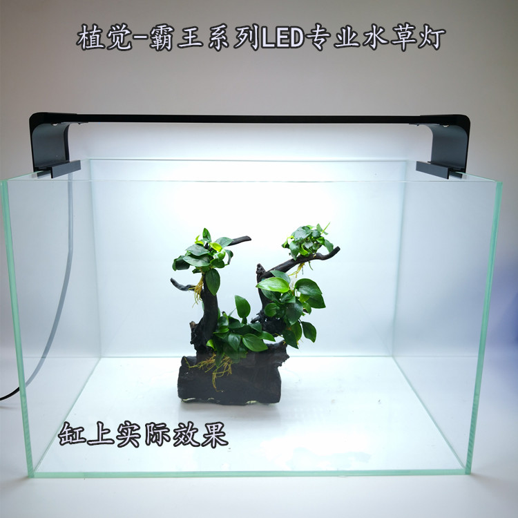 植觉专业水草灯霸王系列LED全光谱支架灯可遥控调光包邮送定时器|ruв категории животное/Животное питание и принадлежностей, аквариум мира, аквариум аквариум оборудования и т.д., осветительное оборудование - от Buy2taobao.com для оказания профессиональной услуги покупки агента Taobao