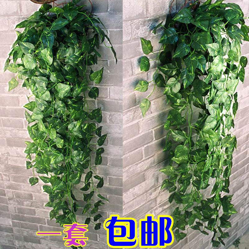 仿真绿萝叶壁挂 装饰花藤条装饰 装饰绿叶绿植花藤假花常青藤包邮|ruв категории доставка цветов/цветок моделирования/растения садоводства, искусственные цветы/растения/фрукты и овощи готовой продукции (новая), моделирование растения - от Buy2taobao.com для оказания профессиональной услуги покупки агента Taobao