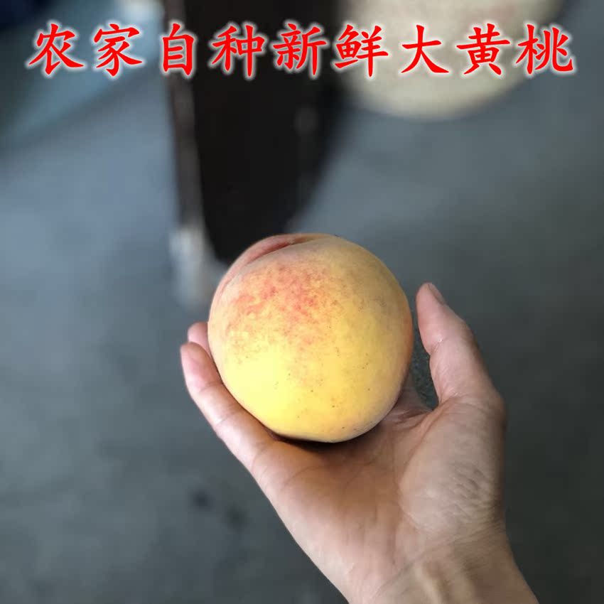 农家自种黄桃 4斤包邮在类目 水产肉类/新鲜蔬果/熟食, 新鲜水果, 桃中 - 来自Buy2taobao.com提供专业的淘宝代购服务