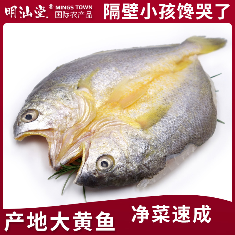 大黄鱼 黄鱼鲞鱼干 新鲜冷冻 开袋清蒸 230g|msdalam kategori daging perikanan/Buah-buahan segar dan sayur-sayuran/dimasak, makanan laut/produk akuatik/produk, lain - dari Buy2taobao.com untuk memberikan perkhidmatan ejen Taobao profesional membeli