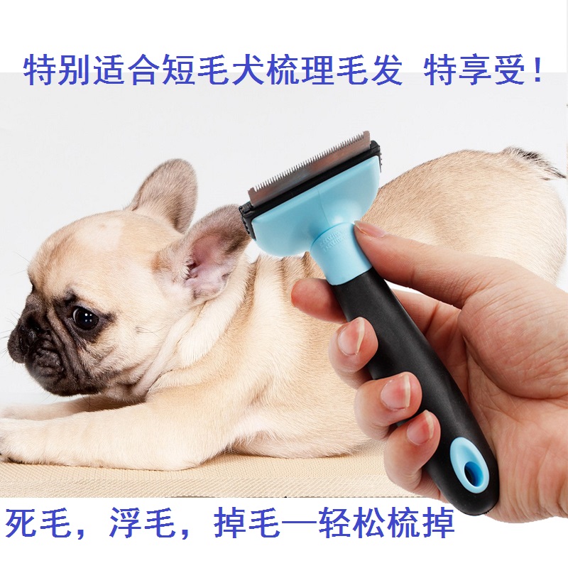 法斗英斗巴哥柯基斗牛犬专用梳子除毛刷毛短毛猫犬撸猫撸犬梳子|msdalam kategori haiwan peliharaan/makanan haiwan dan bekalan, Cat/Anjing dandanan pembersihan bekalan, berturut-turut com - dari Buy2taobao.com untuk memberikan perkhidmatan ejen Taobao profesional membeli