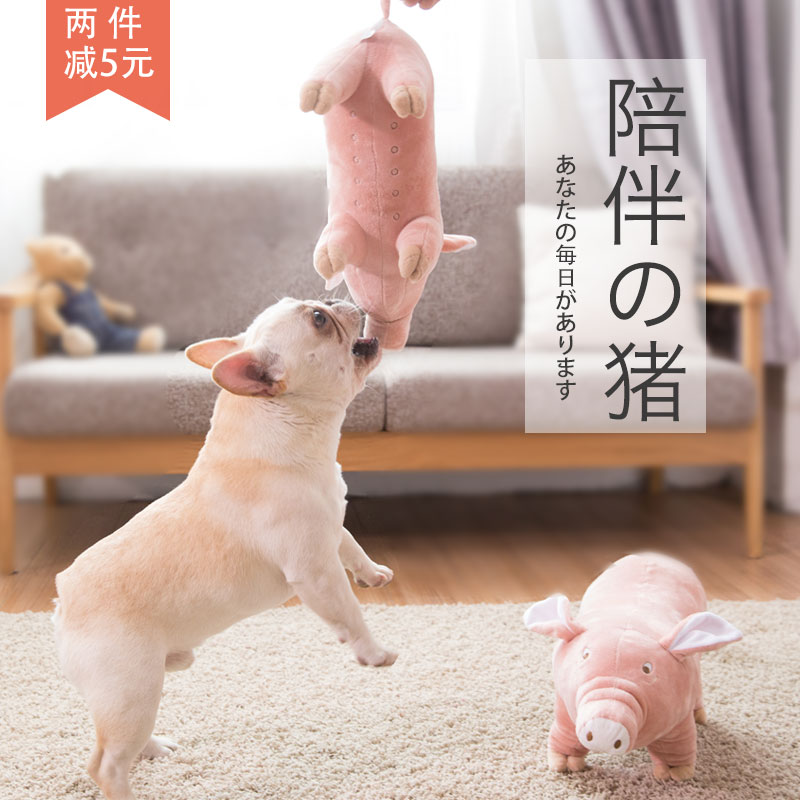 Dogs Toys France bucket Supplies simulation Molar Teddy Bichon SMEs Pets Supplies Plush Toysin the Pet/Pet food and supplies , Cat/Dog Toys , Sound toys category - from Buy2taobao.com to provide professional Taobao agent buy service
