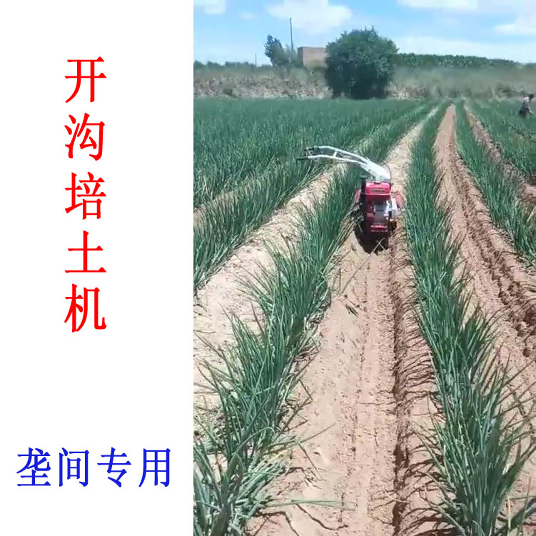德伟开沟培土机 果园挖沟机 生姜烟草大葱草莓起隆施肥扶垄在类目 农机/农具/农膜, 农业机械, 耕种机械中 - 来自Buy2taobao.com提供专业的淘宝代购服务