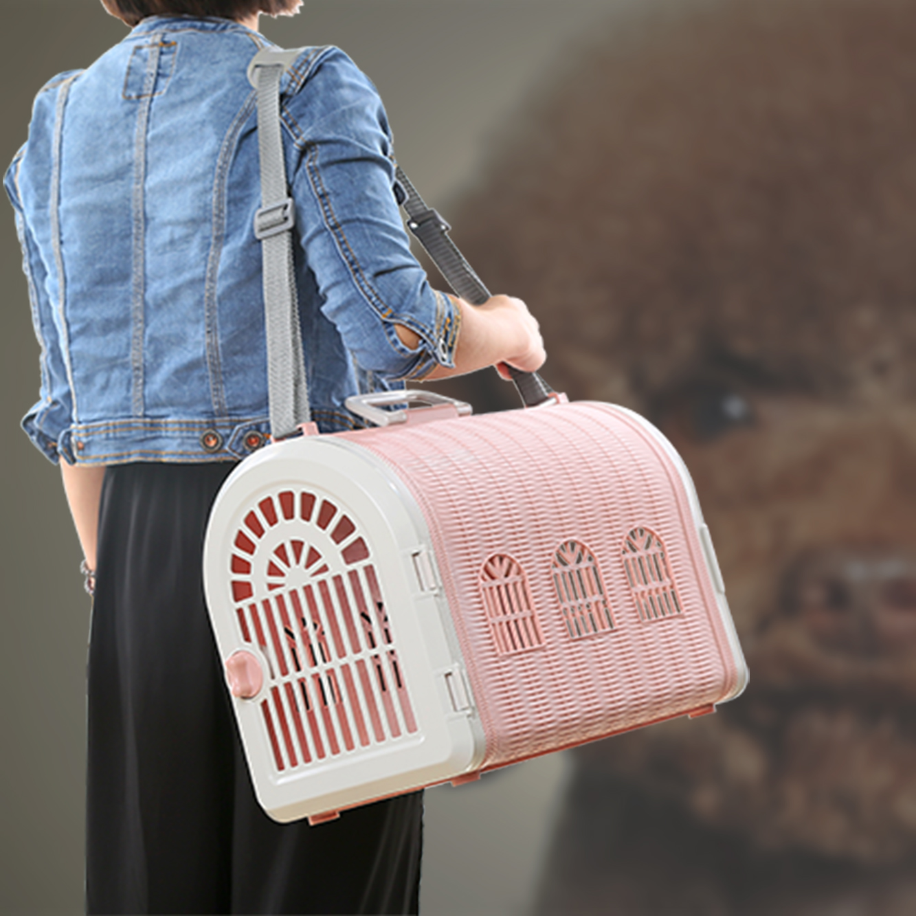 便携宠物提笼 宠物航空箱双门 兔狗猫鸟旅行箱 送原装肩带 正品|ruв категории животное/Животное питание и принадлежностей, кошка/собака товаров, воздушный ящик - от Buy2taobao.com для оказания профессиональной услуги покупки агента Taobao