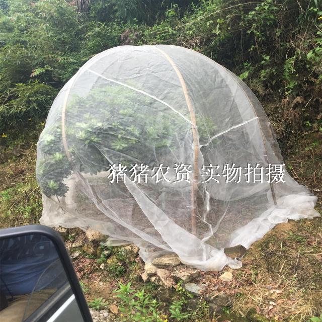 60目防蟲網楊梅防果蠅網蔬菜大棚防蟲網花卉煙草種植網防木虱在類目 農機/農具/農膜, 農膜/篷布/遮網/大棚, 農用防蟲網中 - 來自Buy2taobao.com提供專業的淘寶代購服務