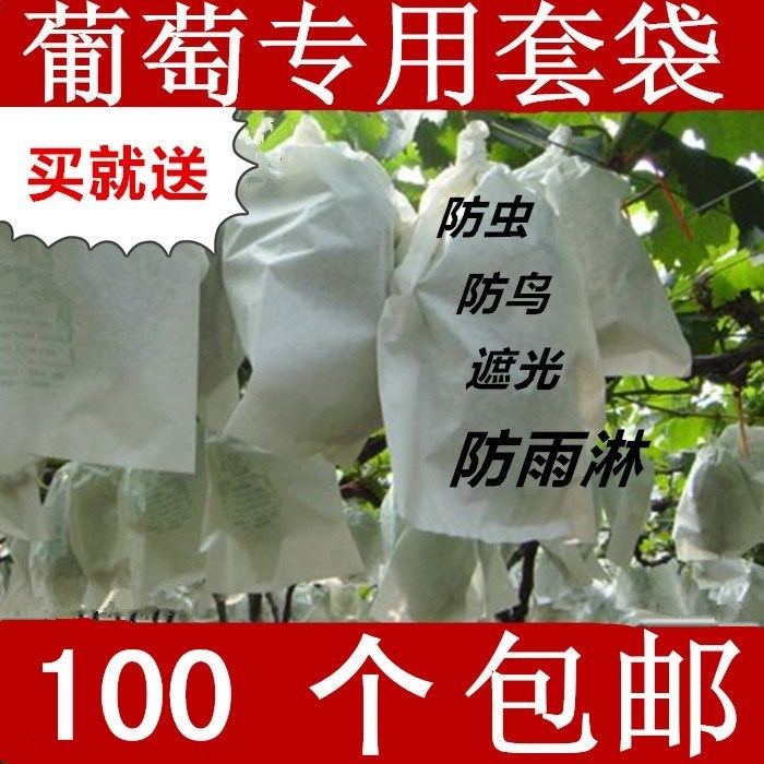 葡萄代子套果袋水果套袋紙套果子的袋子果樹葡萄袋子防鳥防蟲袋。在類目 鮮花速遞/花卉仿真/綠植園藝, 園藝用品, 其它園藝用品中 - 來自Buy2taobao.com提供專業的淘寶代購服務