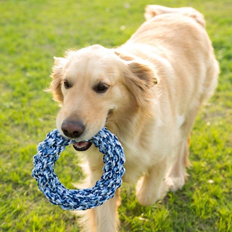 Dogs Knot Dog bites Toys Molar Kitty Tetherball Teddy Golden Retriever Samoyed France bucket Pet Suppliesin the Pet/Pet food and supplies , Cat/Dog Toys , Knot Toys category - from Buy2taobao.com to provide professional Taobao agent buy service