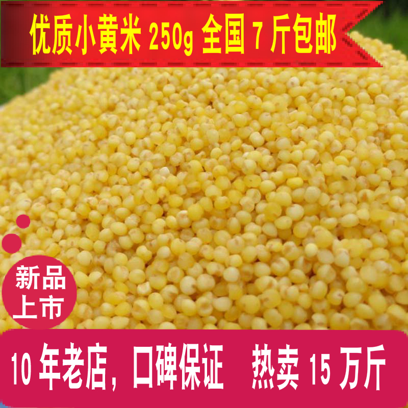 7 pounds new goods Northeast millet 250g San said Farm Production Yellow millet Small yellow rice Coarse Cereals milletin the Agri rice/Dried foods/Condiment , Meter/Flour/Grains , Rice , Millet category - from Buy2taobao.com to provide professional Taobao agent buy service