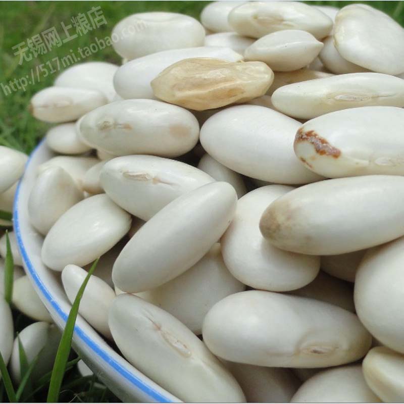 Northeast white kidney bean 500g (Eat more Coarse Cereals Health Slight flaw Wuxi Online storein the Agri rice/Dried foods/Condiment , Meter/Flour/Grains , Beans , Other category - from Buy2taobao.com to provide professional Taobao agent buy service