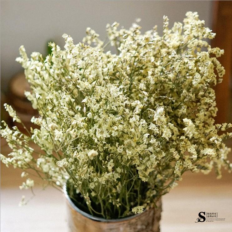 干花花束水晶草花天然风干客厅装饰真花勿忘我满天星大束插花材料在类目 家居饰品, 花瓶/花器/仿真花/仿真饰品, 干花/花瓣/干花包/干树枝中 - 来自Buy2taobao.com提供专业的淘宝代购服务