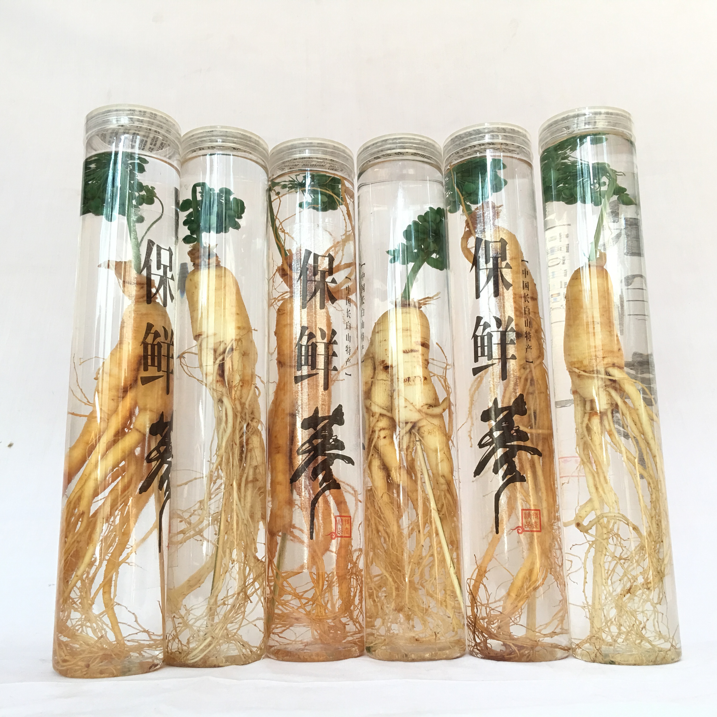 长白山保鲜参鲜人参泡酒料人参人参 东北特产白参送鹿茸片包邮在类目 传统滋补营养品, 参类滋补品, 人参/园参中 - 来自Buy2taobao.com提供专业的淘宝代购服务