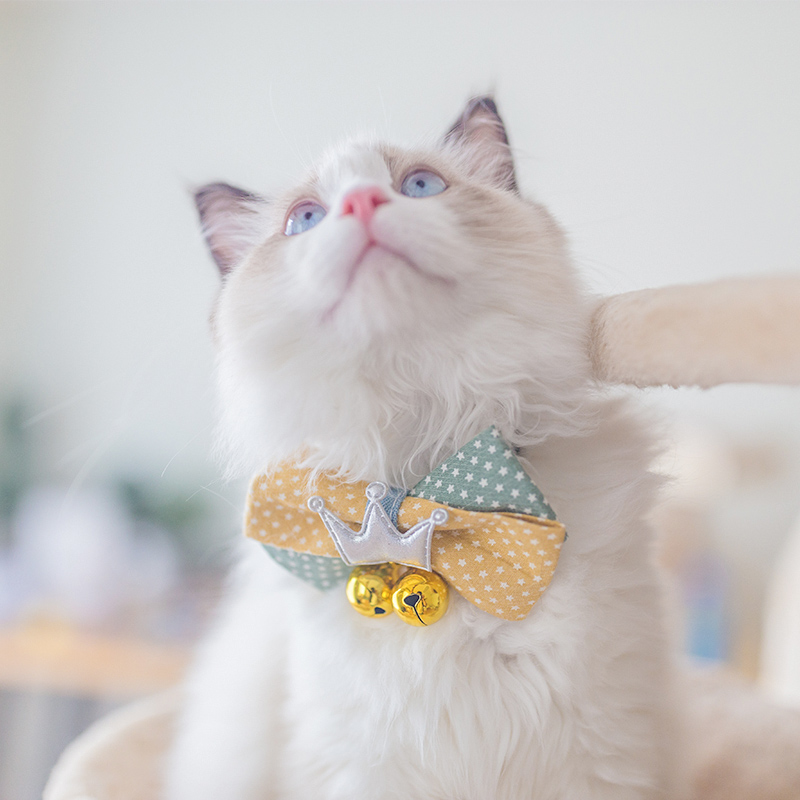 宠物猫咪狗狗领结项圈可调节牛仔领结手工制作小狗铃铛蝴蝶结颈饰|ruв категории животное/Животное питание и принадлежностей, одежды и аксессуаров для домашних животных, одежда/заказ товаров (новый), галстук - от Buy2taobao.com для оказания профессиональной услуги покупки агента Taobao